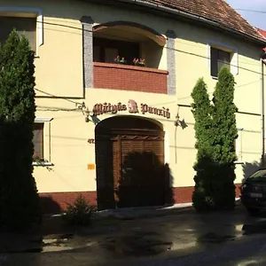 Frühstückspension Matyas Panzio, Szegedin