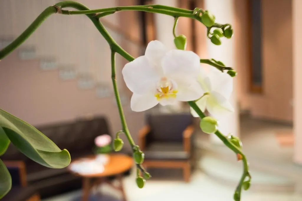 Hotel Matrix Szeged